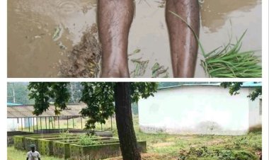 सन्ना में खेत में रोपा लगा रहे किसान पर गिरी आसमानी गाज, मौके पर मौत साहीडांड़ में आकाशीय बिजली की चपेट में आने से 4 मवेशियों की मौत