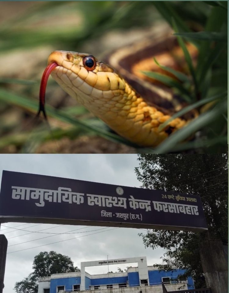 हॉस्टल में सांप काटने से तीसरी कक्षा के बच्चे की मौत पर शुरु हुई कार्रवाई  दो सस्पेंड, एक को कारण बताओ नोटिस जारी