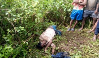 खेतों में काम कर रहे किसान को हाथी ने पैरों से रौंदकर उतार दिया मौत के घाट देर शाम तक जब किसान नहीं लौटा तक परिजनों ने खेत जाकर देखी क्षत-विक्षत लाश