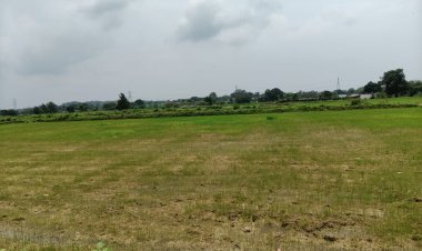 किसान परेशान, आवेदन के 12 दिन बाद भी नहीं मिला जलाशय का पानी, खेतो में सूख रही धान की फसल