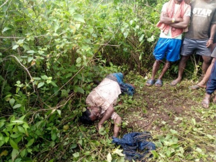 खेतों में काम कर रहे किसान को हाथी ने पैरों से रौंदकर उतार दिया मौत के घाट देर शाम तक जब किसान नहीं लौटा तक परिजनों ने खेत जाकर देखी क्षत-विक्षत लाश