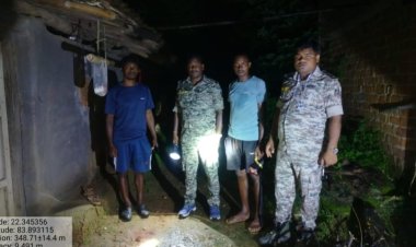 महिला रात में घर के बाहर फोन पर बात करते हुए टहल रही थी, अचानक आ पहुंचा जंगली हाथी