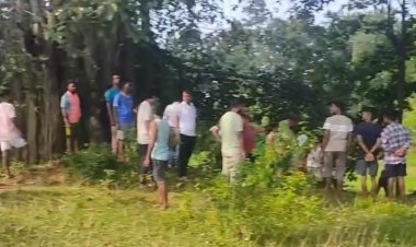 खुखड़ी मशरूम के चक्कर में एक और महिला की गई जान, पास के जंगल से खुखड़ी चुनकर घर लौट रही महिला को जंगली हाथी ने रौंदा,