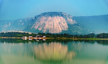 जशपुर के मयाली नेचर कैम्प में ऑनलाईन बुकिंग प्रारंभ  नेचर कैम्प में ऑनलाईन गेटमनी सुविधा प्रारंभ की गई