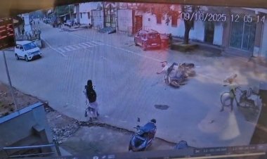 जशपुर में जैन मंदिर तिराहे पर भीषण सड़क हादसा  स्कूटी और बाइक की आमने सामने की भिड़ंत, दो लोग गंभीर रूप से घायल