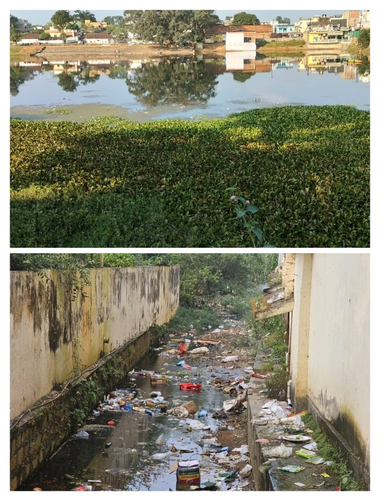 ठहरिए जहां आप लगा रहे हैं आस्था की डुबकी, स्वच्छ नहीं है यहां का पानी   छठ व्रतियों की आस्था के साथ यहां हुआ खिलवाड़   जशपुर के खिड़की बांध, देउल बांध तालाब और डोंगी बांध अर्थात सति उद्यान तालाब में आकर मिल रहा गंदे पानी का नाला   जिला प्रशासन और नगरपालिका ने ऊपर-ऊपर थूक पॉलिश कर लोगों की आंखों धूल झोंककर ले लिया श्रेय