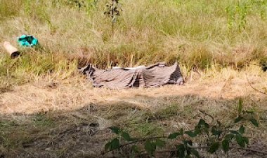 धान की फसल देखने खेत गए किसान को हाथियों ने पैरों से कुचलकर उतार दिया मौत के घाट  कुनकुरी वनपरिक्षेत्र में तीन दिनों में हाथियों से दूसरी मौत से सहमा वनांचल