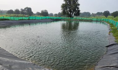 मुख्यमंत्री विष्णुदेव साय के नेतृत्व में जशपुर ने मत्स्य उत्पादन के क्षेत्र में हासिल की उल्लेखनीय उपलब्धि  पिछले 22 महीनों में जिले में 22.805 मीट्रिक टन मत्स्य उत्पादन, किसानों की आमदनी में हुई वृद्धि