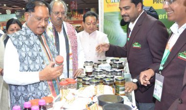 अंतरराष्ट्रीय व्यापार मेले में मुख्यमंत्री विष्णुदेव साय ने छत्तीसगढ़ पेवेलियन का किया अवलोकन  हस्तशिल्प, वन-उत्पाद और पारंपरिक कला ने खींचा देश-विदेश के खरीदारों का ध्यान