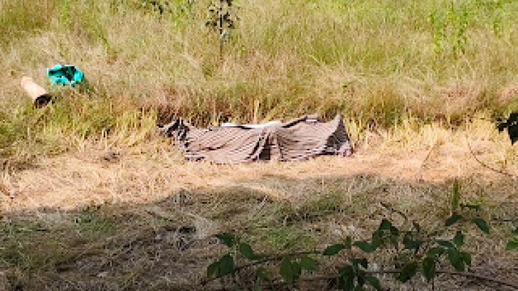 धान की फसल देखने खेत गए किसान को हाथियों ने पैरों से कुचलकर उतार दिया मौत के घाट  कुनकुरी वनपरिक्षेत्र में तीन दिनों में हाथियों से दूसरी मौत से सहमा वनांचल