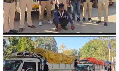 झारखंड से छत्तीसगढ़ आ रहे 6 पिकअप से 380 बोरी में 152 क्विंटल अवैध धान पुलिस ने किया जप्त, कार्यवाही हेतु जिला प्रशासन को सौंपा  जप्त की गई अवैध धान की कीमत लगभग 3 लाख 49 हजार 600 रुपए