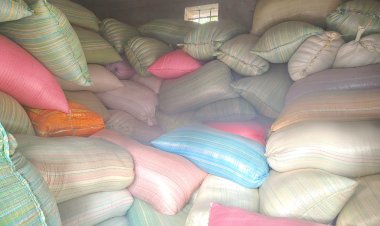 जशपुर के कांसाबेल क्षेत्र में तीन स्थानों से कुल 1,480 क्विंटल धान जप्त  अवैध रूप से संचित धान पर जिला प्रशासन की बड़ी कार्रवाई