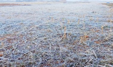 समूचा जशपुर वनांचल तेज़ शीतलहर की चपेट में   वादियों की ओर से आ रही शुष्क और सर्द तेज हवाओं से गिरा न्यूनतम तापमान