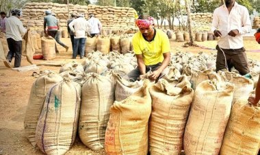 धमतरी में रिकॉर्ड रफ्तार से धान खरीदी  किसानों को 409 करोड़ का हुआ भुगतान