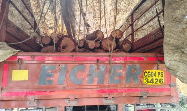 सेमल लकड़ी के 105 नग लट्ठे से लदा आईशर ट्रक जप्त  वन विभाग द्वारा अवैध वनोपज परिवहन पर की गई कार्यवाही