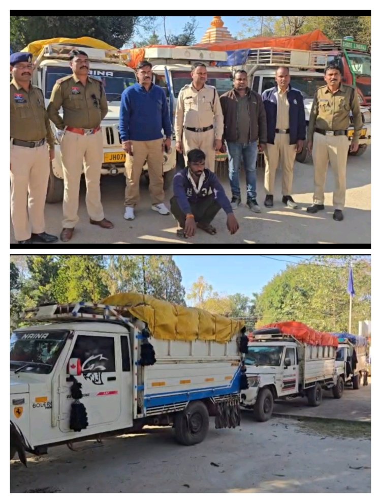 झारखंड से छत्तीसगढ़ आ रहे 6 पिकअप से 380 बोरी में 152 क्विंटल अवैध धान पुलिस ने किया जप्त, कार्यवाही हेतु जिला प्रशासन को सौंपा  जप्त की गई अवैध धान की कीमत लगभग 3 लाख 49 हजार 600 रुपए