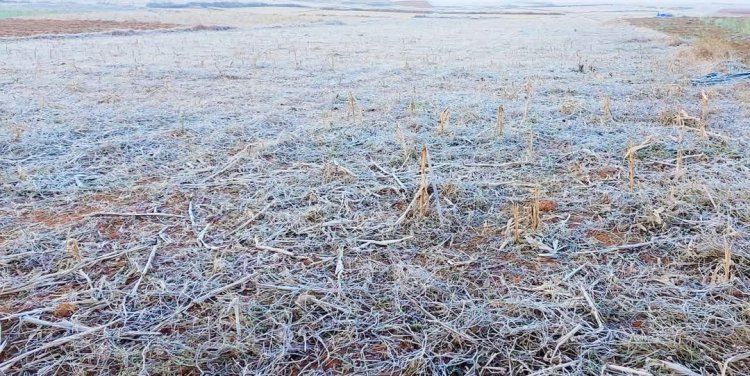 समूचा जशपुर वनांचल तेज़ शीतलहर की चपेट में   वादियों की ओर से आ रही शुष्क और सर्द तेज हवाओं से गिरा न्यूनतम तापमान