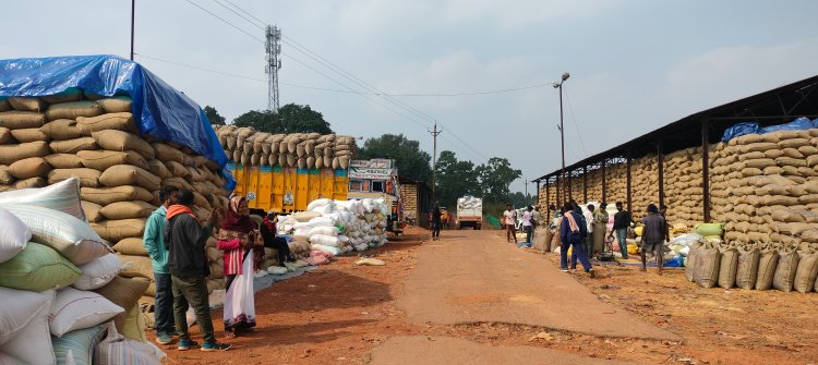 सरकार किसानों के साथ: टोकन सिस्टम में समय की बंदिश खत्म  किसानों के लिए बड़ी सहूलियत: तूहर टोकन ऐप अब 24 घंटे उपलब्ध