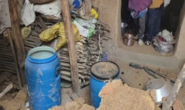 अपने झुंड से बिछड़े नर दंतैल हाथी ने गांव में जमकर मचाया उत्पात  हाथी के हमले और तोडफ़ोड़ में गांव के 6 घरों को भारी नुकसान पहुंचा