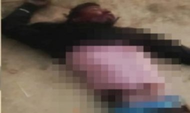 गांव में घुस आया जंगली हाथी, मच गई अफरा तफरी   हाथी ने 22 साल के युवक को सूंड से उठाकर पटका, युवक की हालत नाजुक