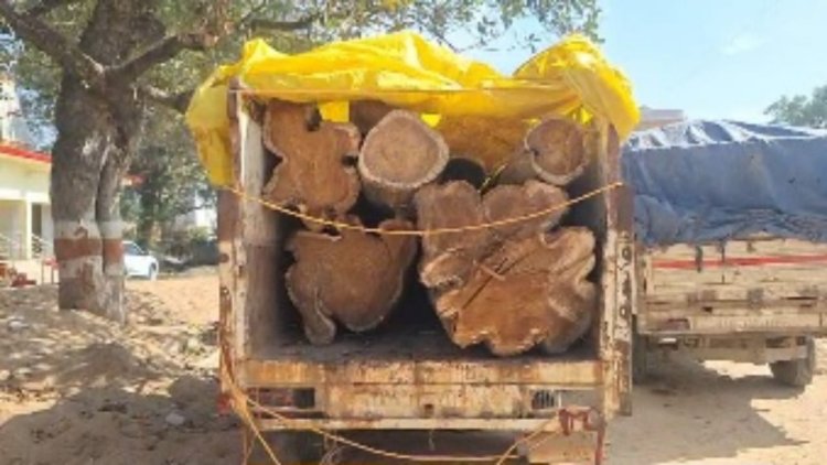 पुलिस और वन विभाग की संयुक्त कार्यवाही में एक पिकअप इमारती लकड़ी जप्त