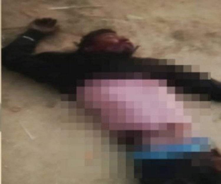 गांव में घुस आया जंगली हाथी, मच गई अफरा तफरी   हाथी ने 22 साल के युवक को सूंड से उठाकर पटका, युवक की हालत नाजुक