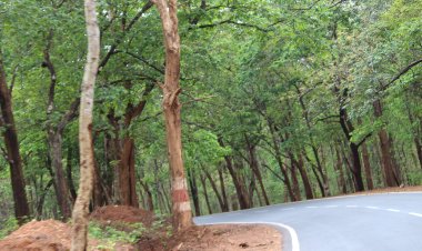 नाटक देखकर पैदल घर लौट रही 17 साल की युवती का अपहरण और दुष्कर्म के बाद हत्या की कोशिश