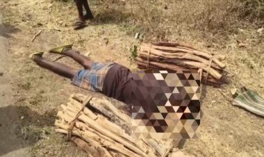 लकड़ी के भार समेत मुंह के बल गिरने से 60 साल के पहाड़ी कोरवा की मौत
