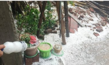 *बलरामपुर–सूरजपुर में तेज बारिश और ओलावृष्टि से फसलों को भारी नुकसान*