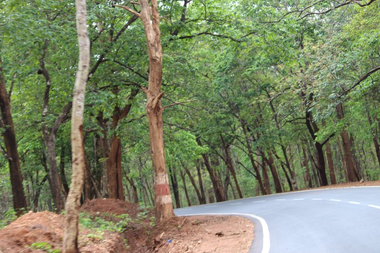 नाटक देखकर पैदल घर लौट रही 17 साल की युवती का अपहरण और दुष्कर्म के बाद हत्या की कोशिश