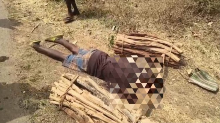 लकड़ी के भार समेत मुंह के बल गिरने से 60 साल के पहाड़ी कोरवा की मौत
