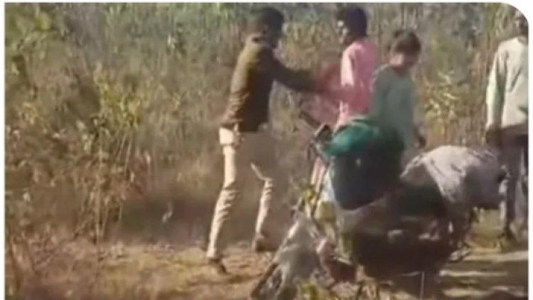 नर्सरी में फॉरेस्ट गार्ड को प्रेमिका के साथ पकड़ा, युवकों ने कराया डांस और बेल्ट से की पिटाई; वीडियो वायरल