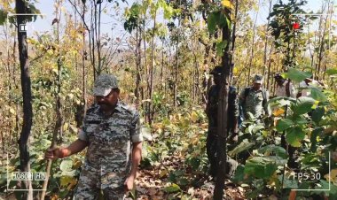 गौ तस्करी पर सख्ती: जंगलों में सर्च अभियान, गांवों में बनी ‘पुलिस मितान टीम
