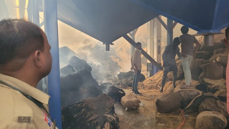 *राइस मिल में भीषण आग, तीन फायर ब्रिगेड मौके पर – मधुमक्खियों के छत्तों से बढ़ा खतरा, कर्मचारियों और दमकल कर्मियों में दहशत का माहौल*