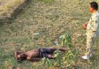 *बगीचा में संदिग्ध हालात में युवक की मौत, खेत में मिला शव*