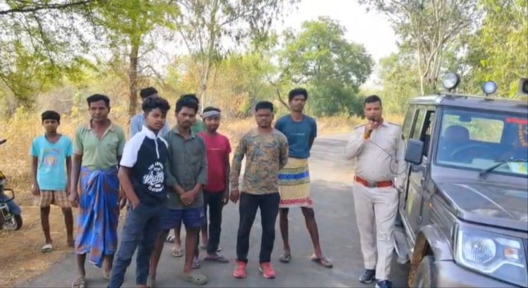 लैलूंगा से पहुंचे हाथी, कई गांवों में अलर्ट; फसलों और सिंचाई पम्पों को भारी नुकसान
