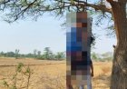 *रिश्तेदारी में पनपा प्रेम, पेड़ पर लटकी मिली प्रेमी युगल की लाश*